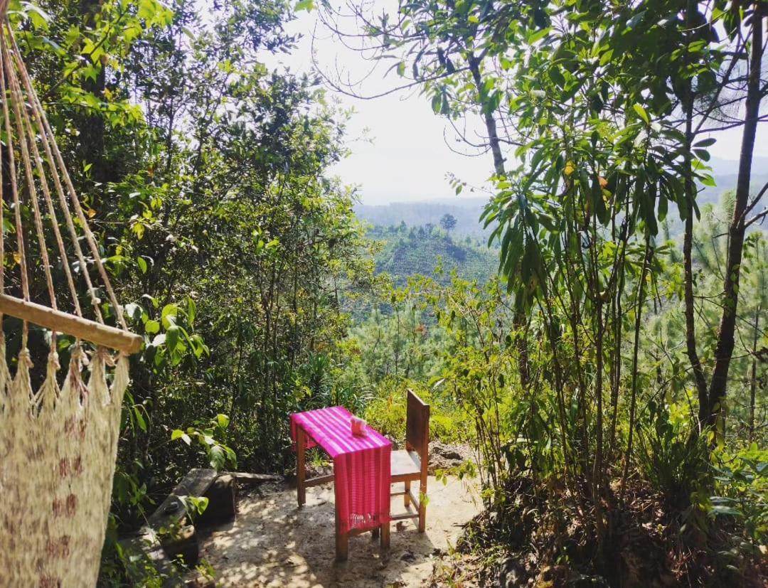 Paraiso Verde Chijou Dış mekan fotoğraf